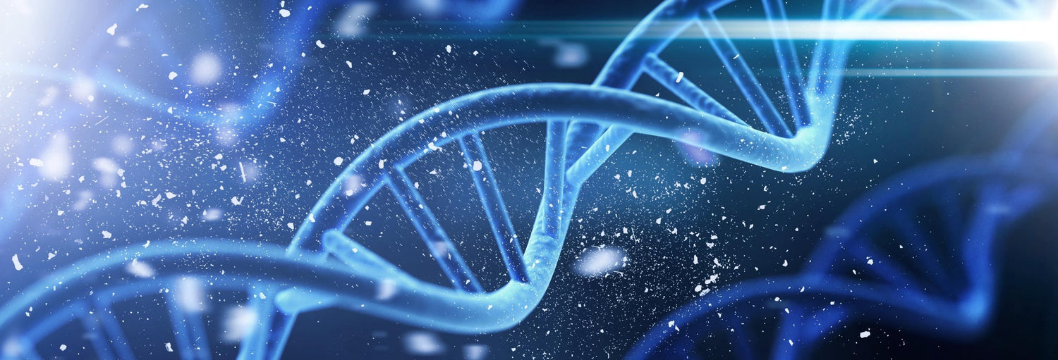 Nos Codes ADN Viennent-ils de l'Espace ?