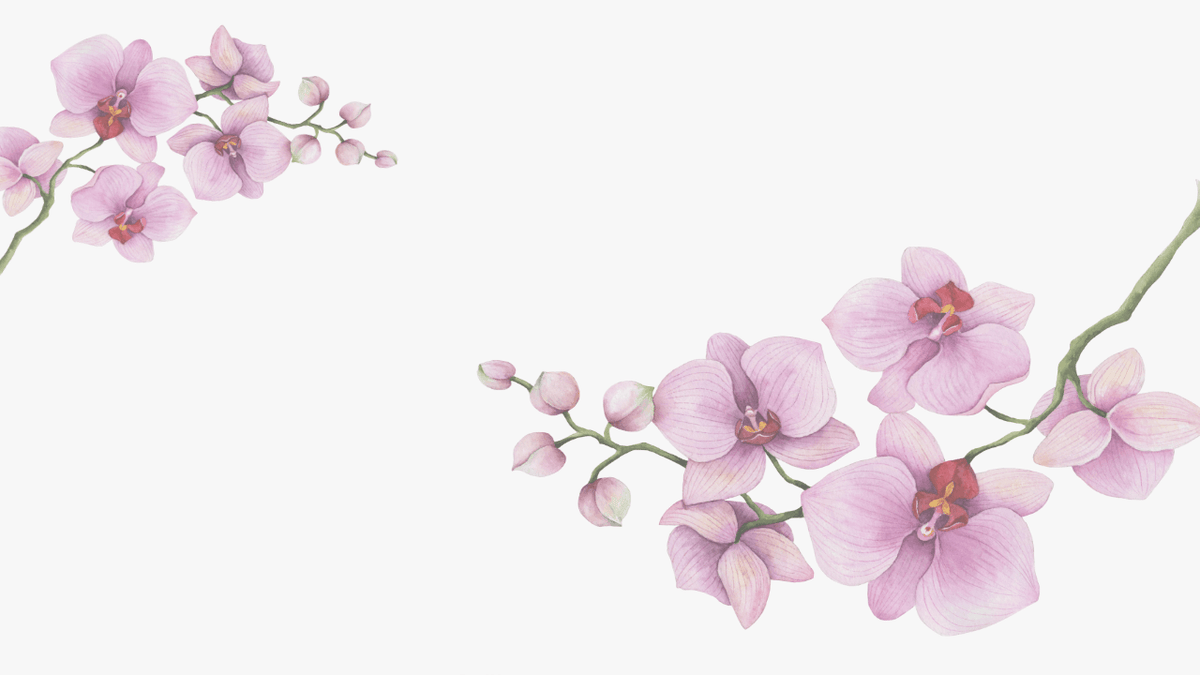 Fleur d'orchidées violettes en illustration